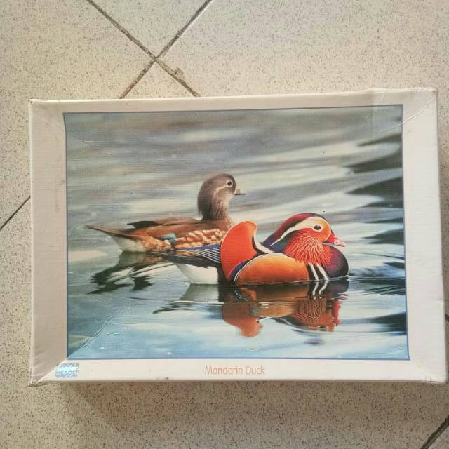 PUZZLE MANDARIN DUCK 500 PCS