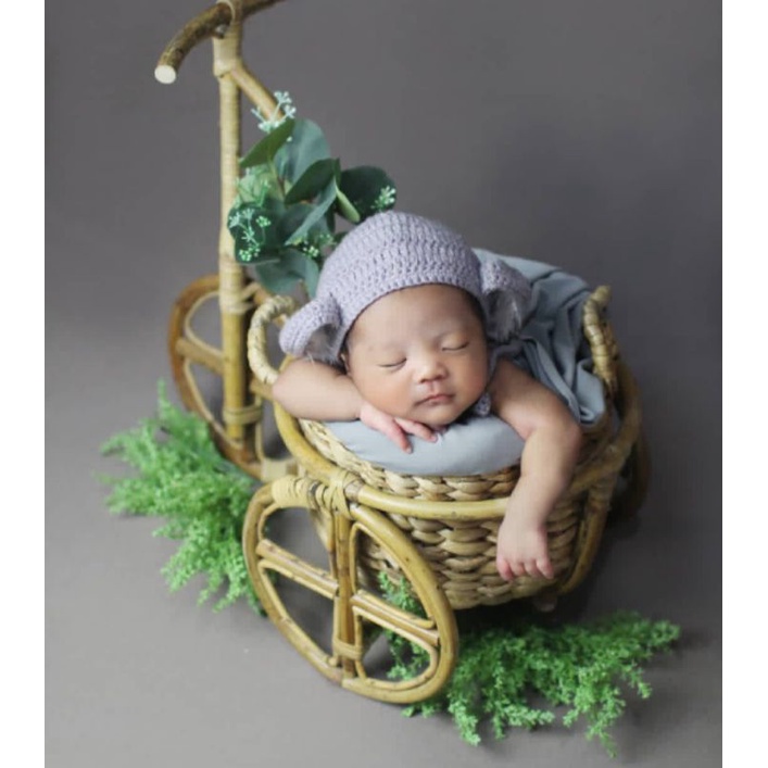 BABY PROPERTY / KERANJANG PROPERTY FOTO BAYI / ENCENG GONDOK - ROTAN / PHOTOSHOOT BABY NEW BORN