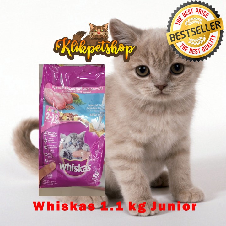 Makanan Kucing Kitten Whiskas Junior 1,1 kg freshpack