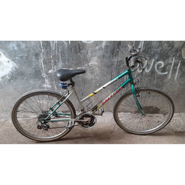 Sepeda polygon montana