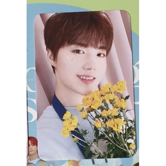 RPC BLOOMING TREASURE DOYOUNG