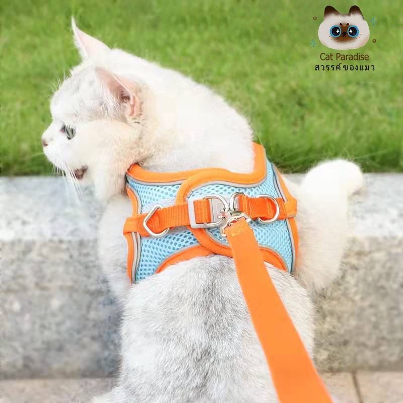 TALI KUCING HARNESS ANJING KUCING TALI TUNTUN KUCING TALI KUCING HARNESS KUCING ROMPI BAJU KUCING CAT LEASH DOG LEASHView Product Analysis