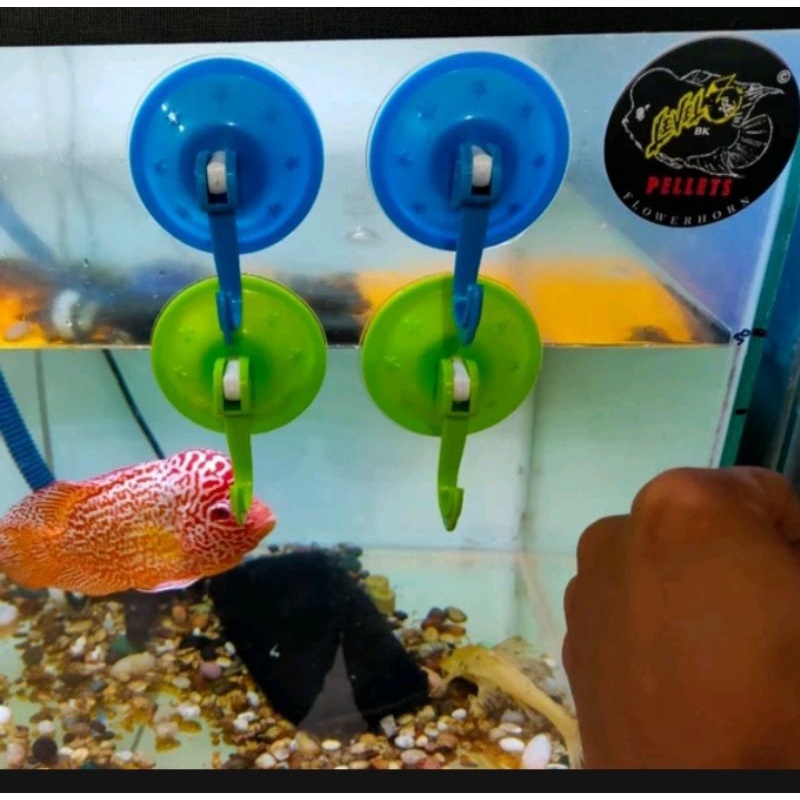 Dop Hook Lampu Tanning Taning arwana karet gantungan serba guna