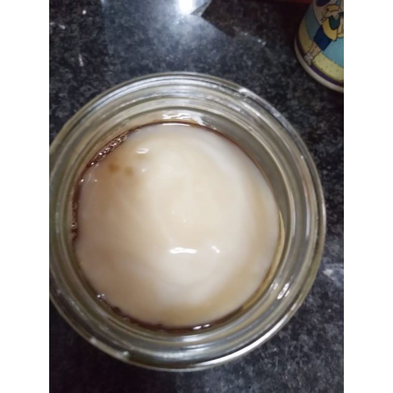 

Bibit Scuby Jamur Kombucha