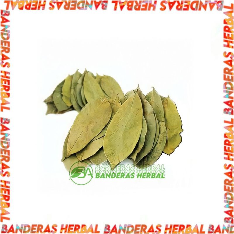 

Daun Sirsak Asli 100gr banderasherbal
