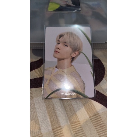 OFFICIAL PHOTOCARD NCT 127 x NATURE REPUBLIC