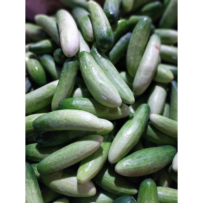 

TIMUN 500 gr