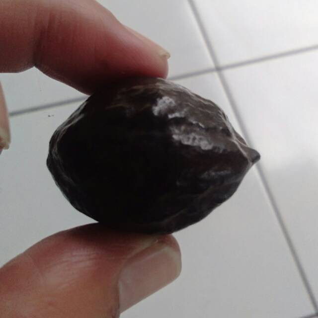 Muncang adu Mayit Jawa matang