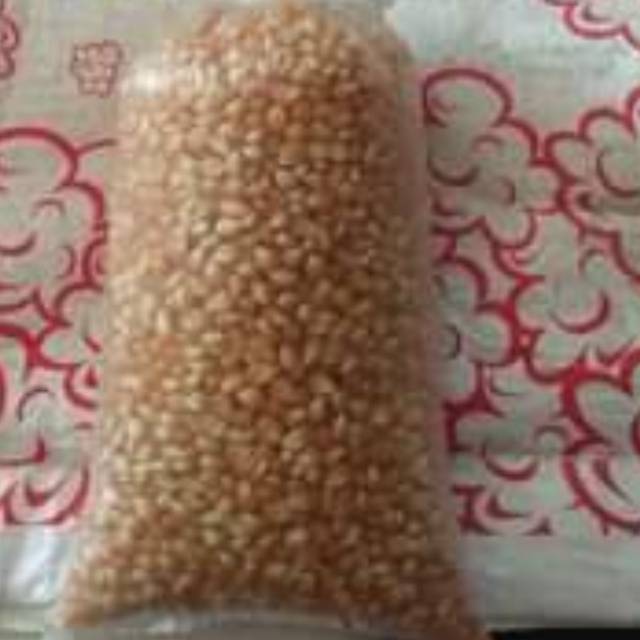 

Jagung popcorn yellow
