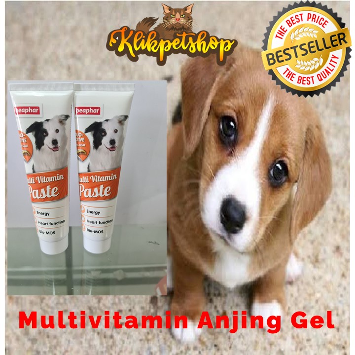 Vitamin Anjing Multivitamin Paste Adult Dog Beaphar 100gr Duo Active Skin Coat