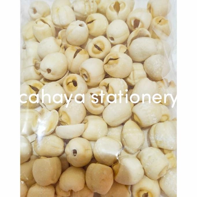 

Biji Teratai / Lotus / Lian Ci / biji teratai Lian ci 250gram