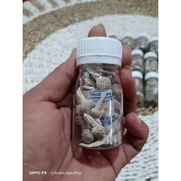 

mpot ayam putih original