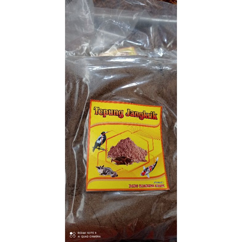 UMPAN MANCING IKAN MAS SUPER MANTUL 500 GRAM