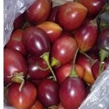 

Buah Terong Belanda 1kg