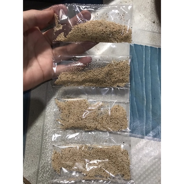 

Kas - Kas / Bumbu Rempah