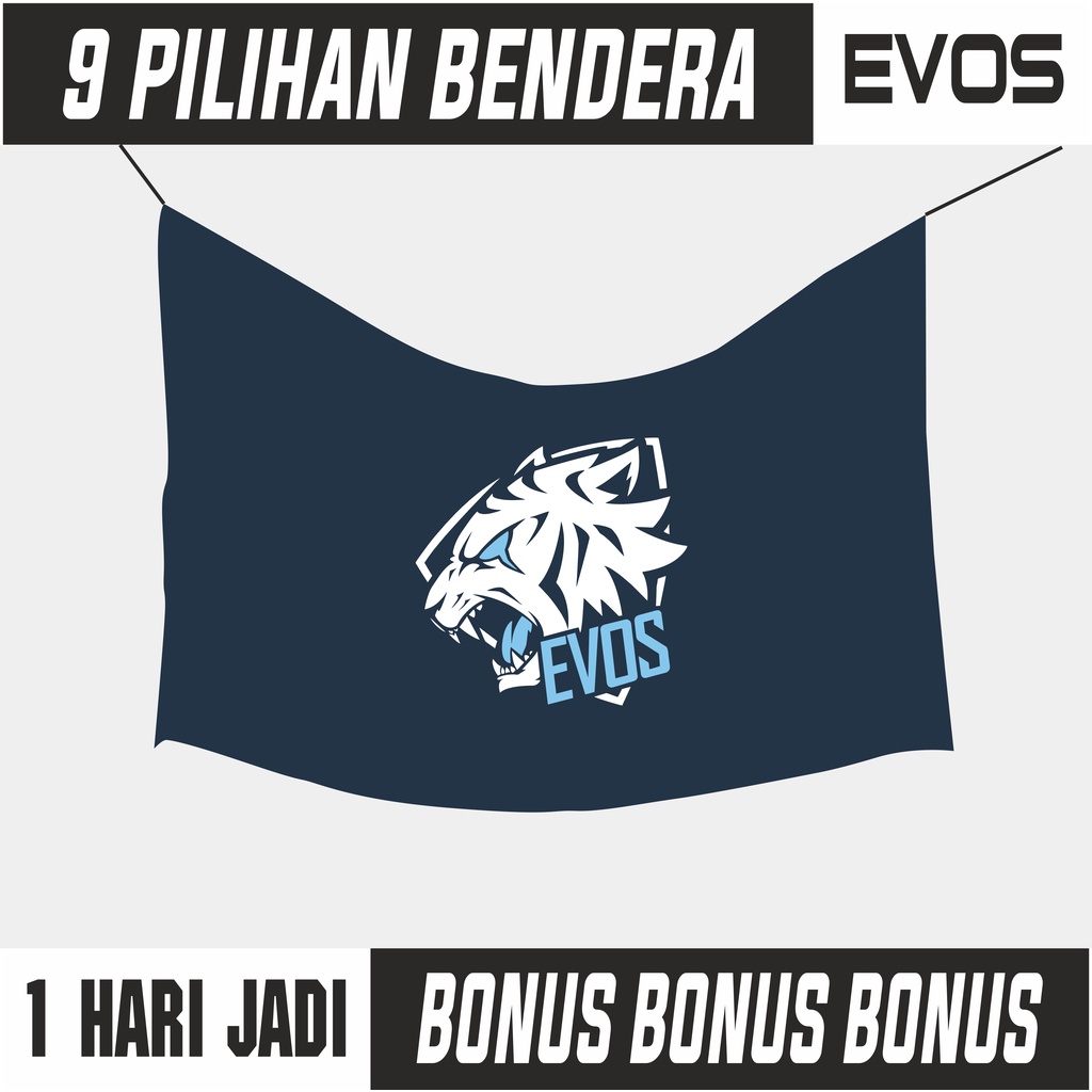 Bendera Evos Esport untuk hiasan dinding EVOS ROAR EVOS LEGENDS FLAG EVOS