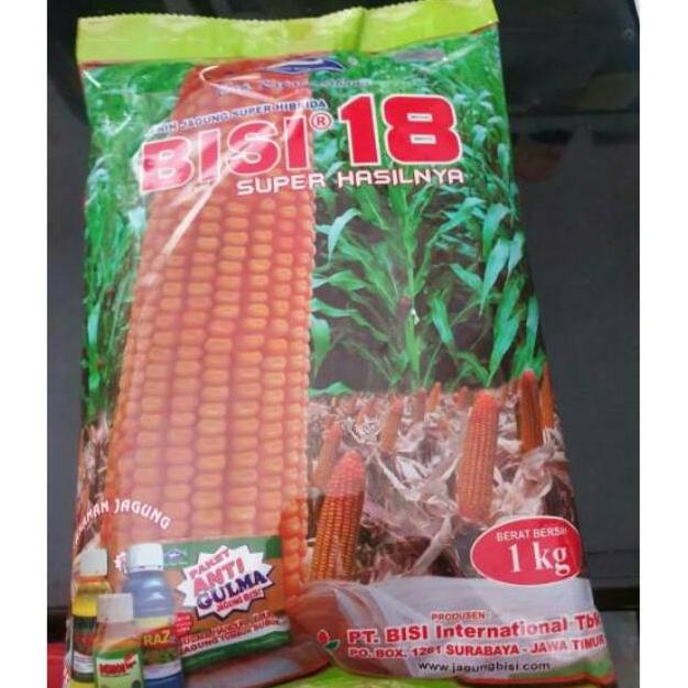 Benih jagung hibrida Bisi 18 isi 1kg jagung bisi18 bibit jagung