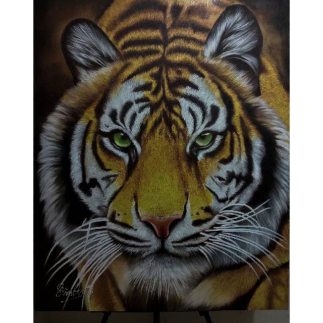 Gambar Ragam Hias Fauna Harimau Gambar Ragam Hias Fauna Harimau