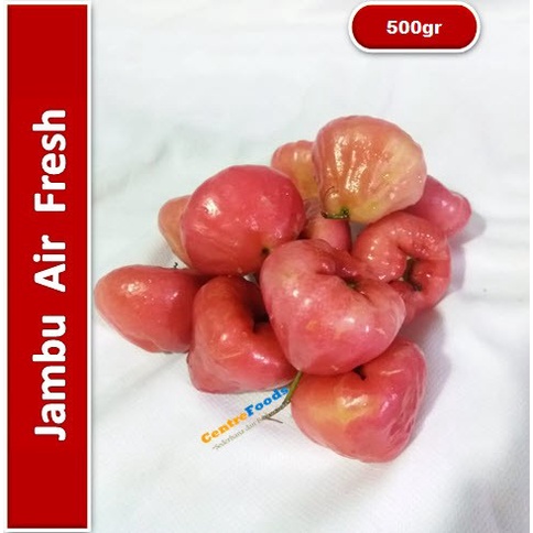

Buah Jambu Merah - Jambu Air Merah Fresh | 500gr [ Harga Per 0,5 Kg ]