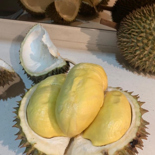 

Durian Montong Segar Dari Kebon Sendiri (Box 500 Gram)