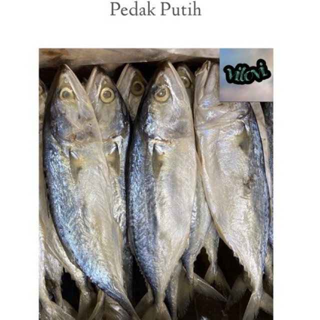 

Peda Putih 1 kg