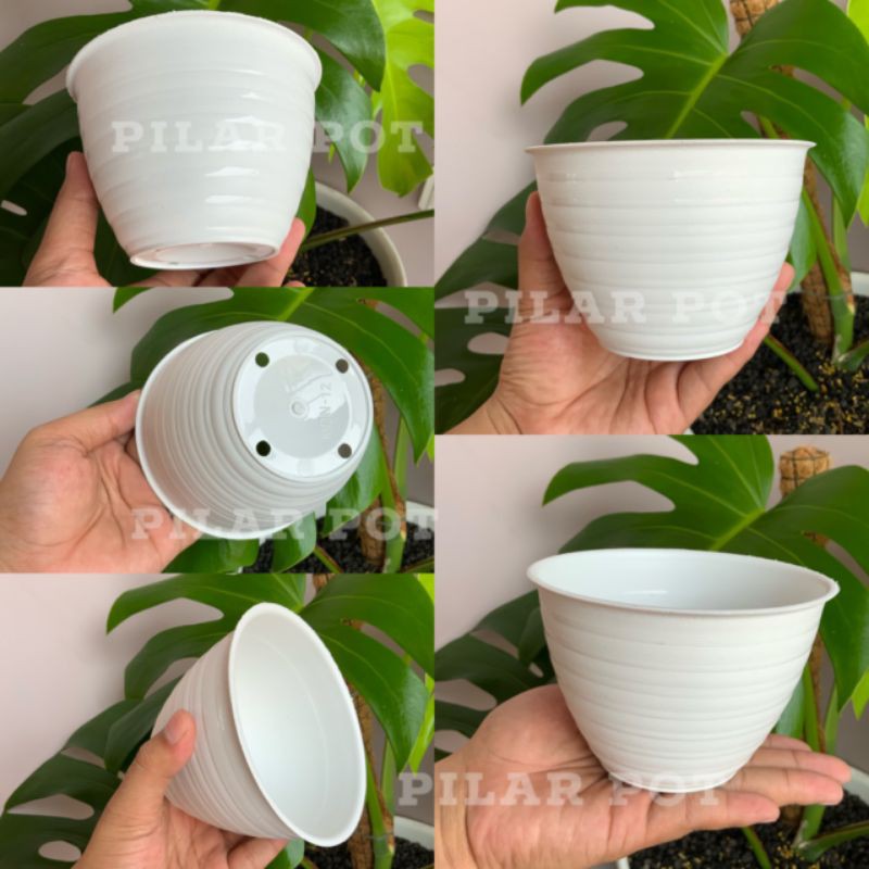 pot bunga tanaman mdn putih 15cm model tawon - MDN