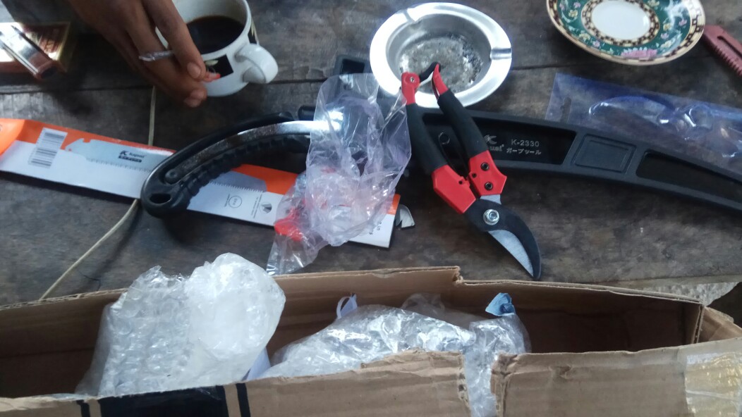 Gergaji Kayu Lurus Kapusi