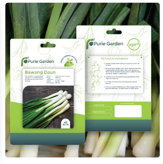 Benih bibit Bawang Daun- 40benih