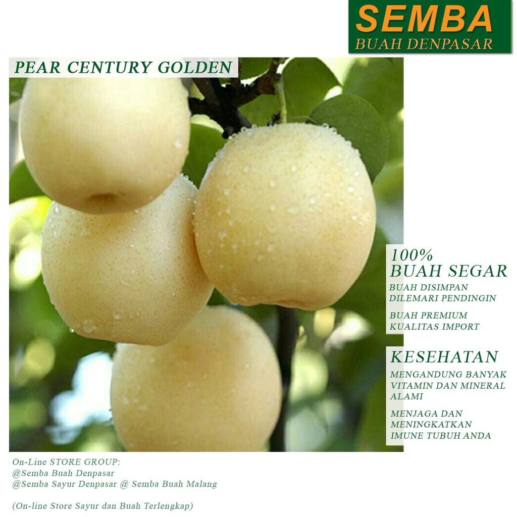 

PEAR CENTURY GOLDEN 1buah fruit sayur sayuran sembako pangan food bahan makanan fresh DENPASAR BALI