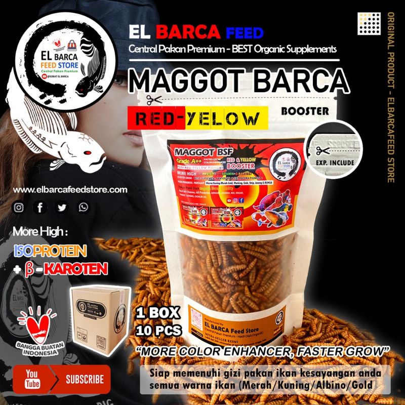 Maggot BSF Grade A ++ El Barca Red Yellow Booster Pakan Channa Cana Chana Ulat Hongkong Elbarca