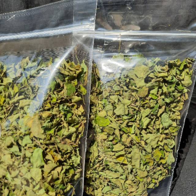 

Teh Daun Kelor