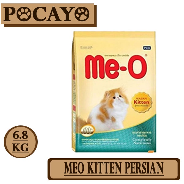 Meo Kitten Persian 6.8k (Ekspedisi)