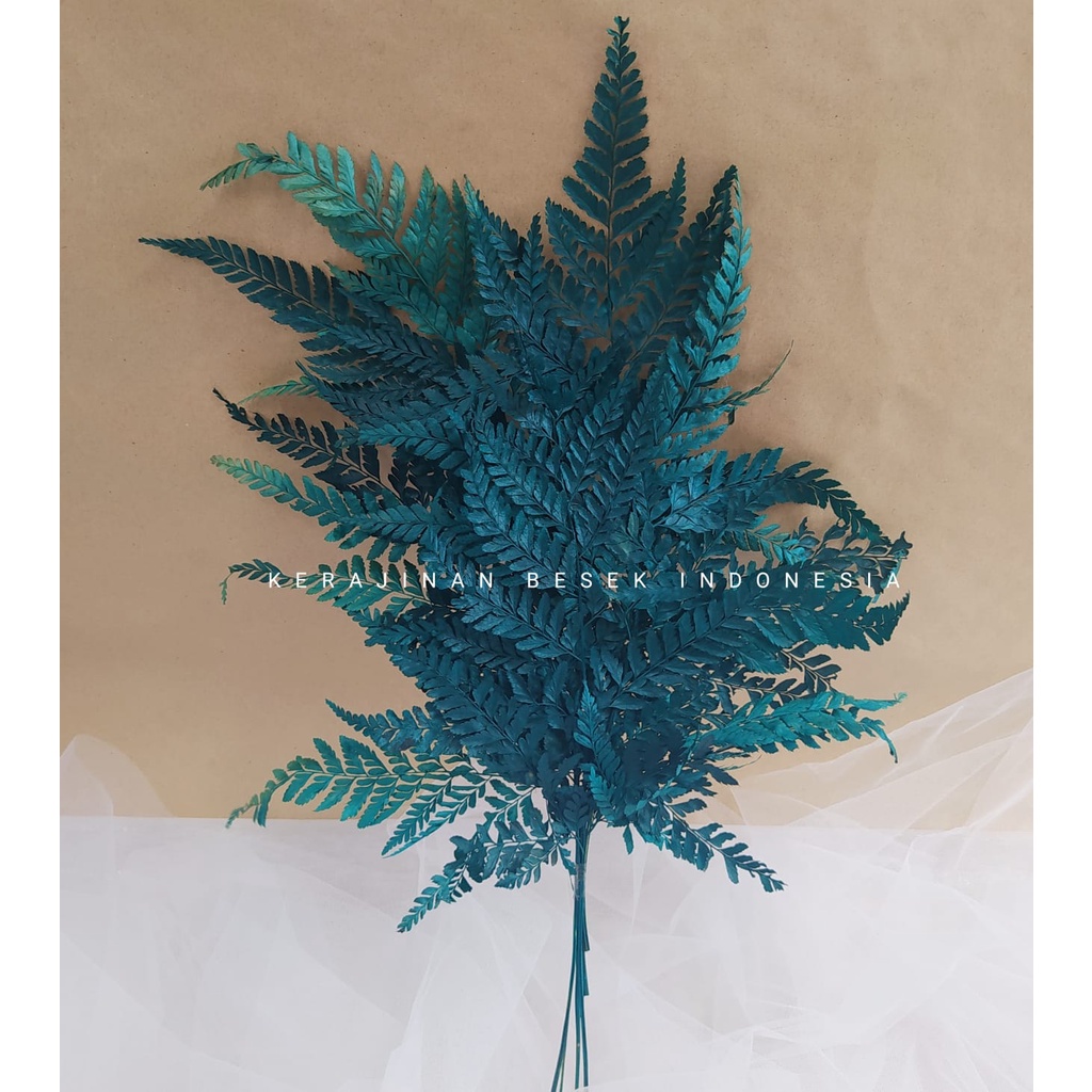 DAUN PAKIS KERING// Hiasan daun pakis// Hiasan keranjang buah