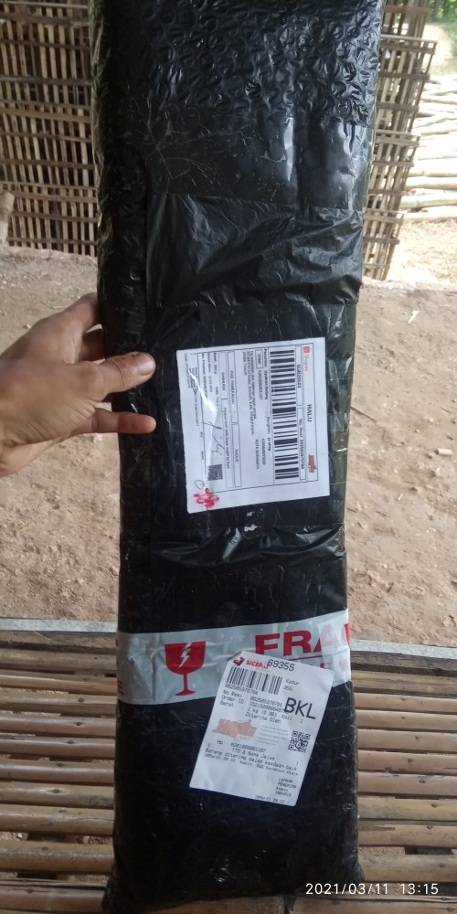 Tekiro Gergaji 20inch Tpr 2mata Hand Saw 2 Teeth Original