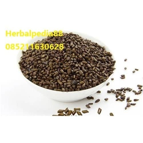 jue ming zi Cassia seed Semen Cassiae 100 gram
