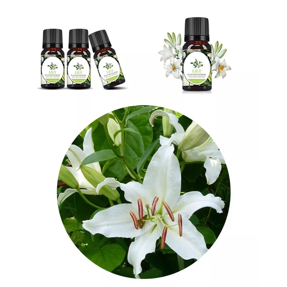 (COD) Essential Oil Aromatheraphy Minyak Pewangi Ruangan MALL SHOPPING