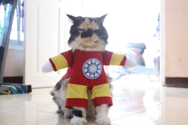 Kostum ironman untuk kucing / baju kucing anjing / kostum kucing size S M L XL