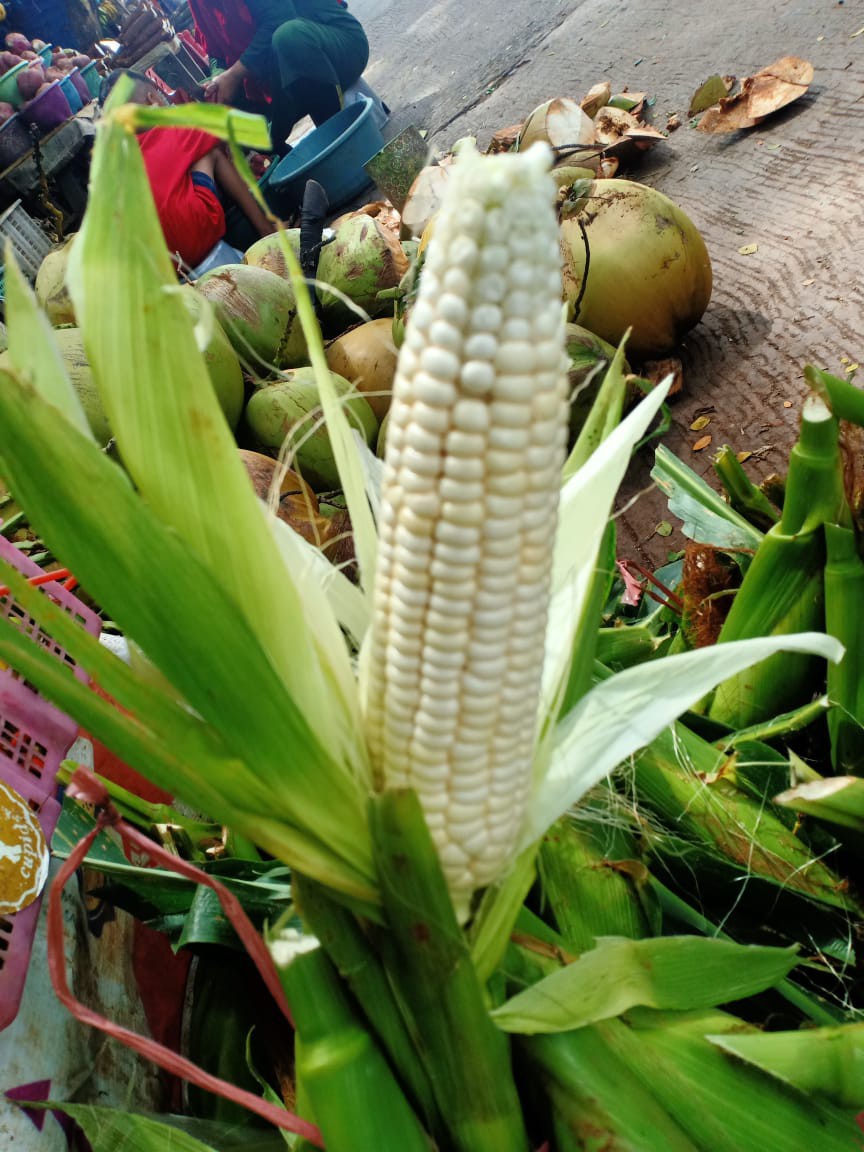 Alat Pemisah Kuning Putih Telur/saringan Telur/alat Dapur