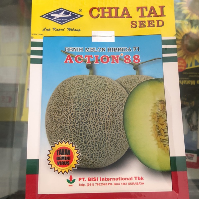 Benih Melon Action 88 F1 Cap Kapal Terbang