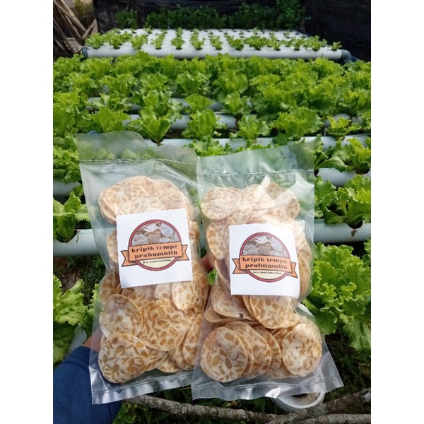 

kripik tempe sagu