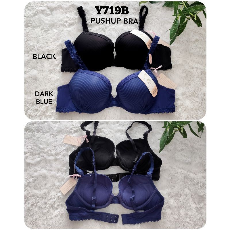 Y719 Bra Wanita PushUp Basic Daily Young Hearts 34b/36B