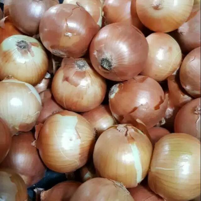 

Bawang bombay 1 Kg