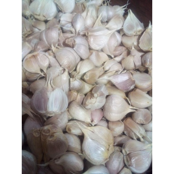 

BAWANG PUTIH KATING 250 GRAM