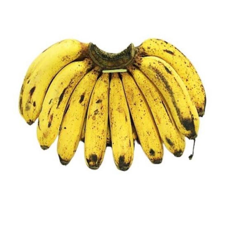 

PISANG BARANGAB BERKUALITAS