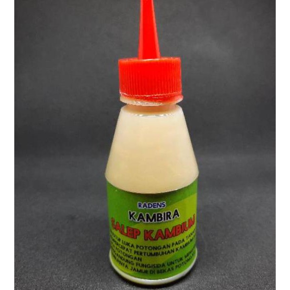 1.1 SALEP KAMBIUM PLUS FUNGISIDA HEALING PASTE PENUTUP LUKA BEKAS POTONG TANAMAN DAN BONSAI, ALAT B