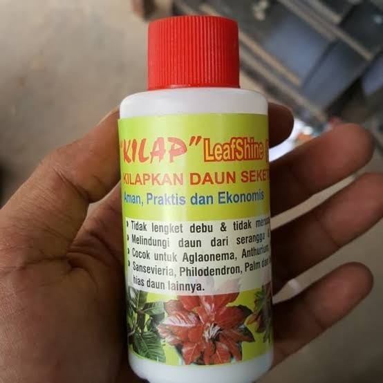 kilap daun untuk mengkilapkan daun
