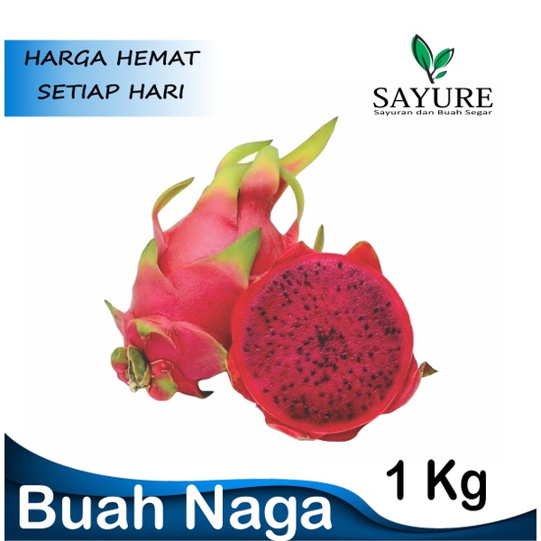 

BUAH NAGA FRESH BERKUALITAS 1 KG