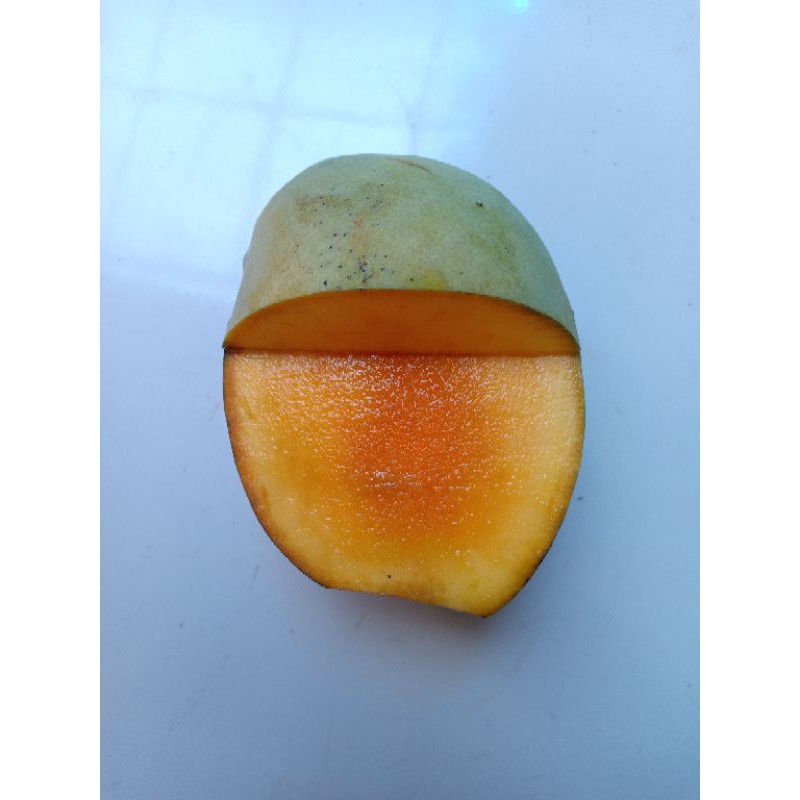 ENTRES MANGGA CENGKIR