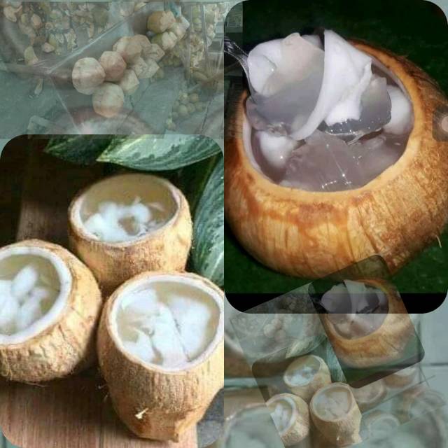 

Puding d'gan dengan kelapa asli