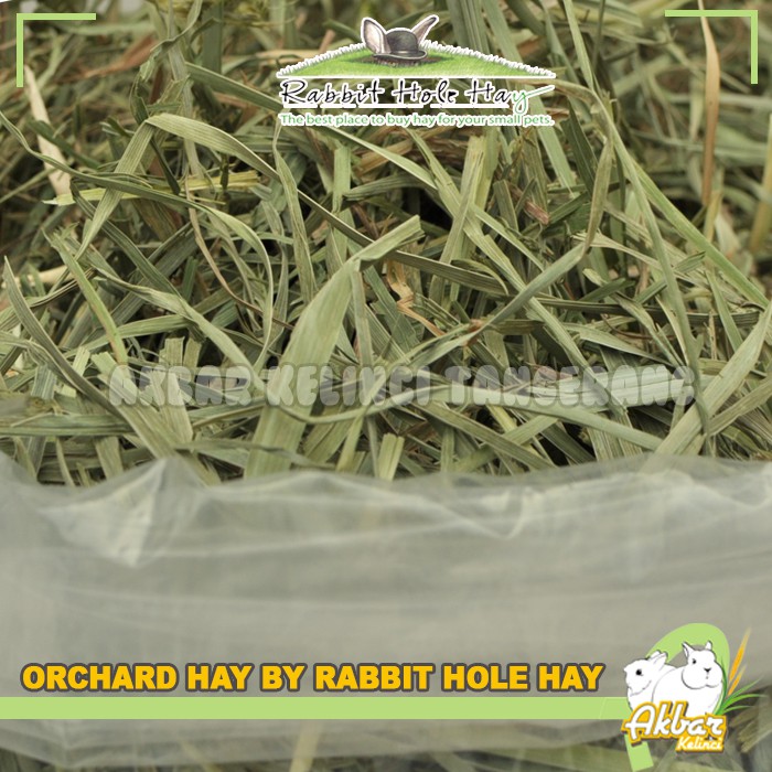 Hay Orchard 100 gr by RHH Rabbit Hole Hay Rumput Makanan kelinci orchard hay 100gr